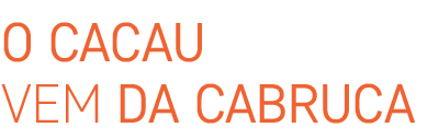 dengo-titulos-o-cacau-vem-da-cabruca-2 dengo-titulos-o-cacau-vem-da-cabruca-2
