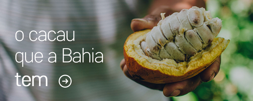 DENGO_Rodape_o-cacau-que-a-bahia-tem-mobile
